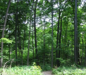 Miami Whitewater Badlands Trail