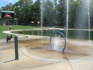 wags dog park cincinnati