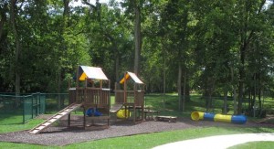 wags dog park cincinnati