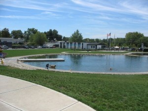 wags dog park