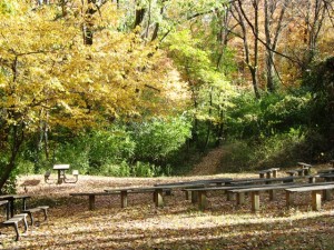 caldwell nature preserve cincinnati parks