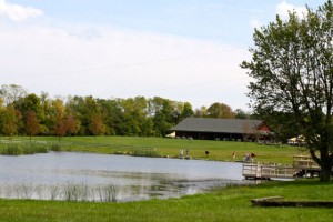 bonnybrook farm pond bonnybrook farm