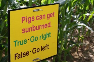 cornmaze sign bonnybrook farm