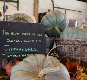 green pumpkins bonnybrook farm