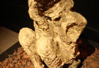 crouched man pompeii exhibit cincinnati museum center
