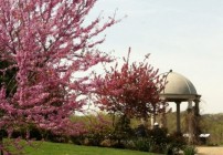 IMG_0250 IMG_0250