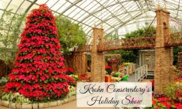 krohn conservatory featured