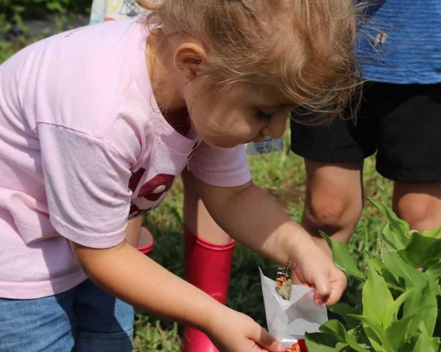 Kids at Blooms and Berries Butterfly Festival