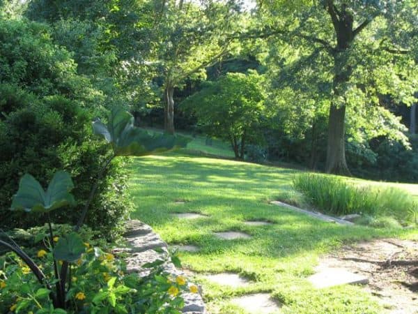 mt airy forest greenspace