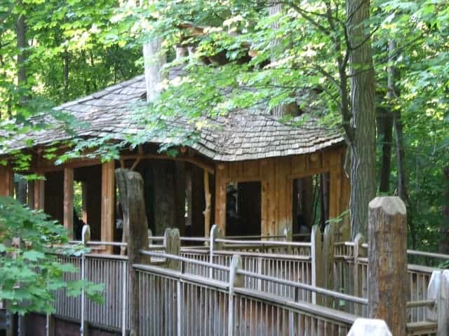 mt airy forest treehouse