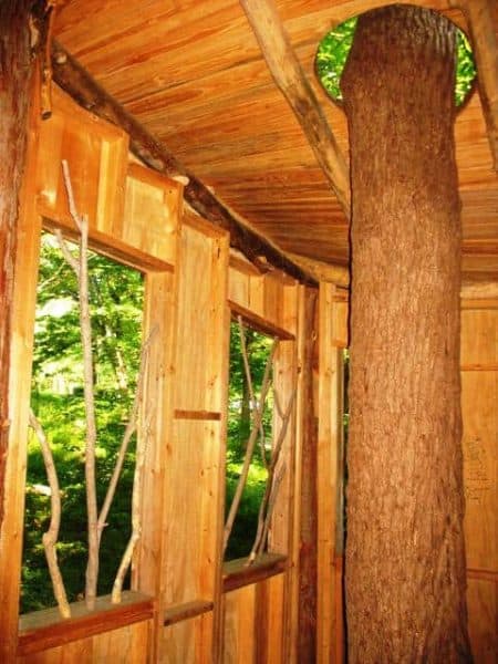 mt airy forest treehouse inside