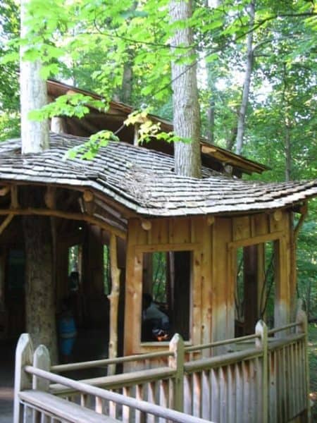 mt airy forest treehouse