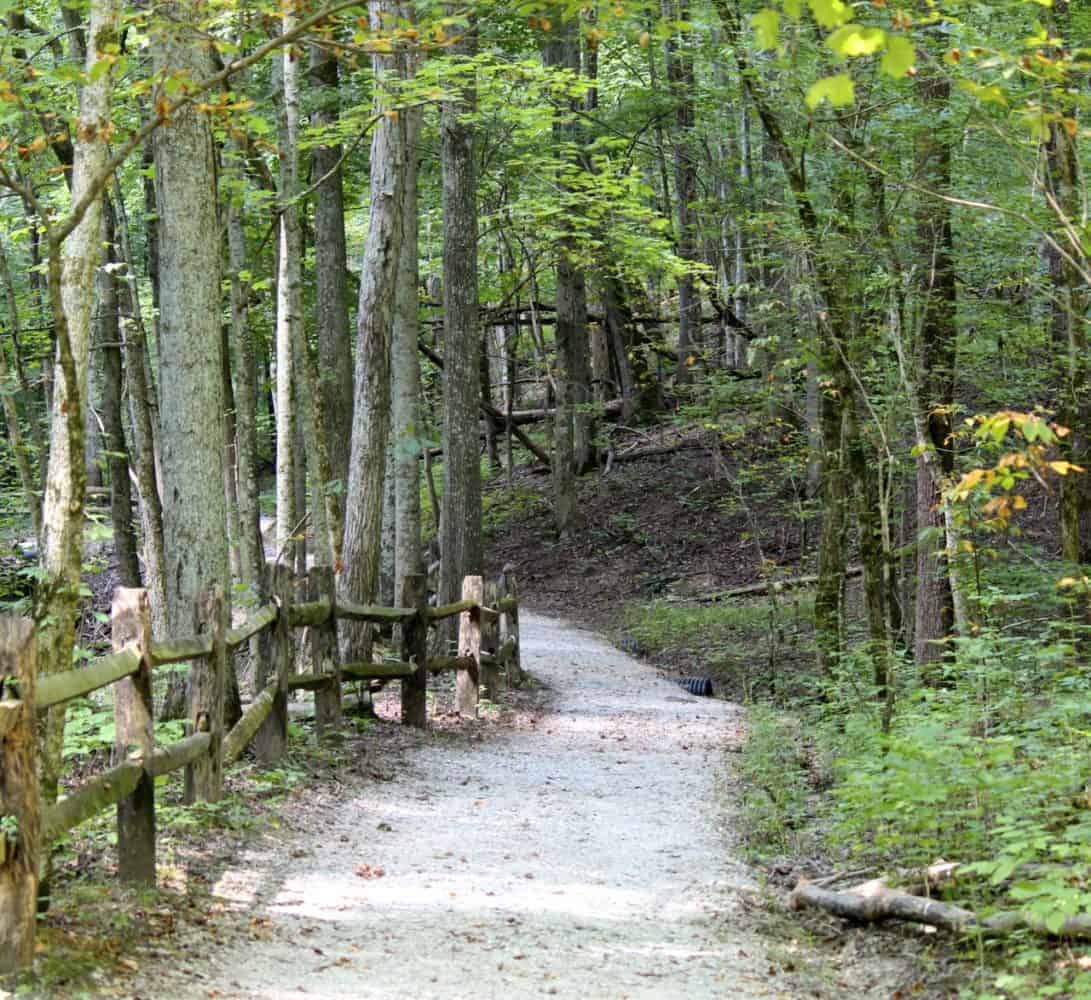 Cincinnati Nature Center, Blog