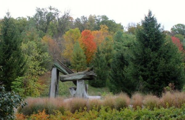 wooden sculpture at pyramid hill