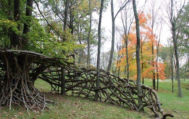 Nature turned sculpture at Pyramid Hill