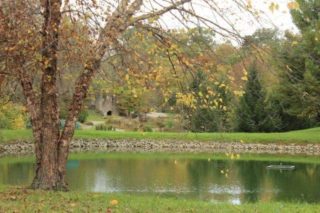 Autumn Leaves at Pyramid Hill Sculpture Park