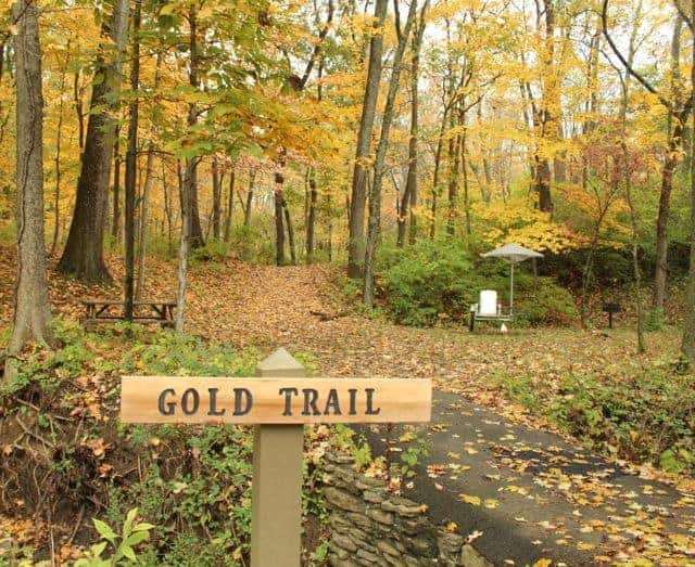 Beautiful autumn leaves on the Gold Trail at Pyramid Hill Sculpture Park