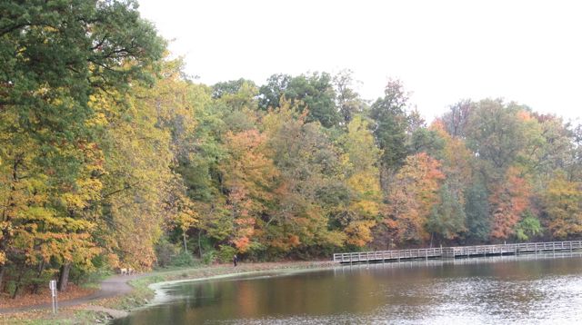 autumn at Sharon Woods