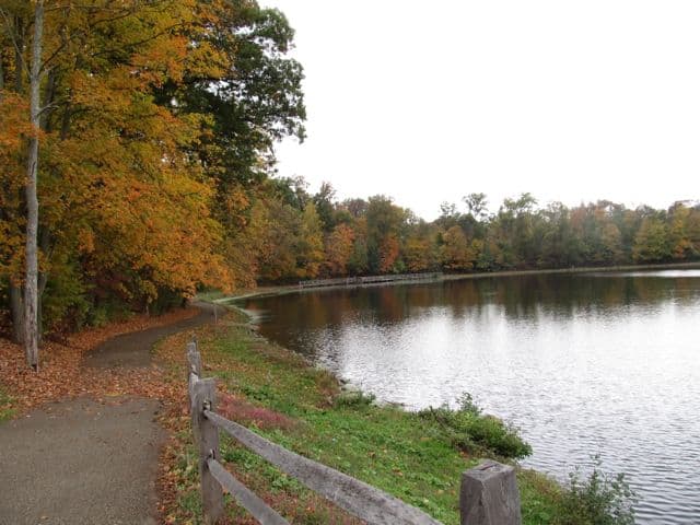 autumn has arrived at Sharon Woods