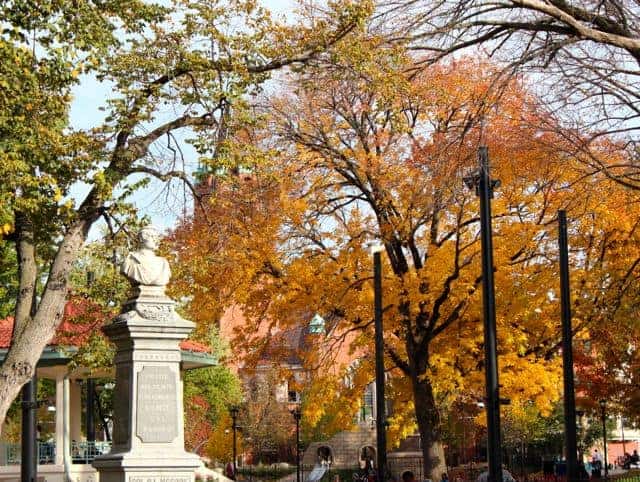 washington park in fall