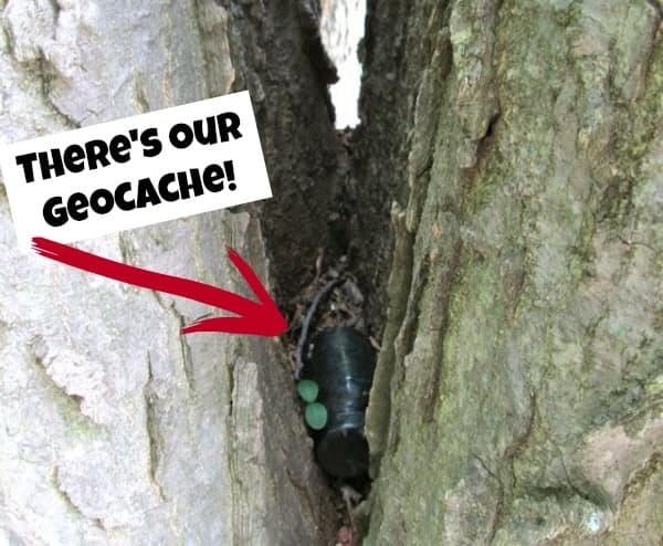 geocache tube in tree
