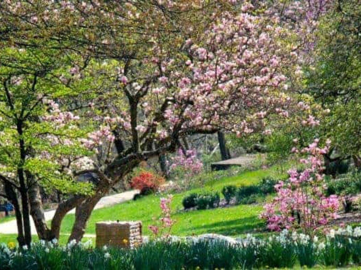 Spring Fun Guide – Things to Do in Cincinnati this Spring