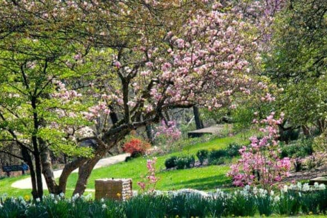 Spring Fun Guide – Things to Do in Cincinnati this Spring