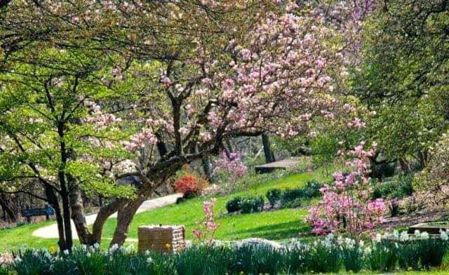 Eden Park in the Spring, Cincinnati Ohio