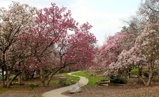 Spring is in full bloom at Eden Park in Cincinnati, Ohio