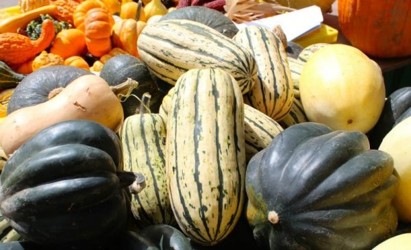 Fall gourds at Findlay Market