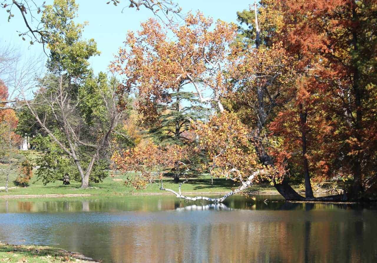 Spring Grove Cemetery lakes