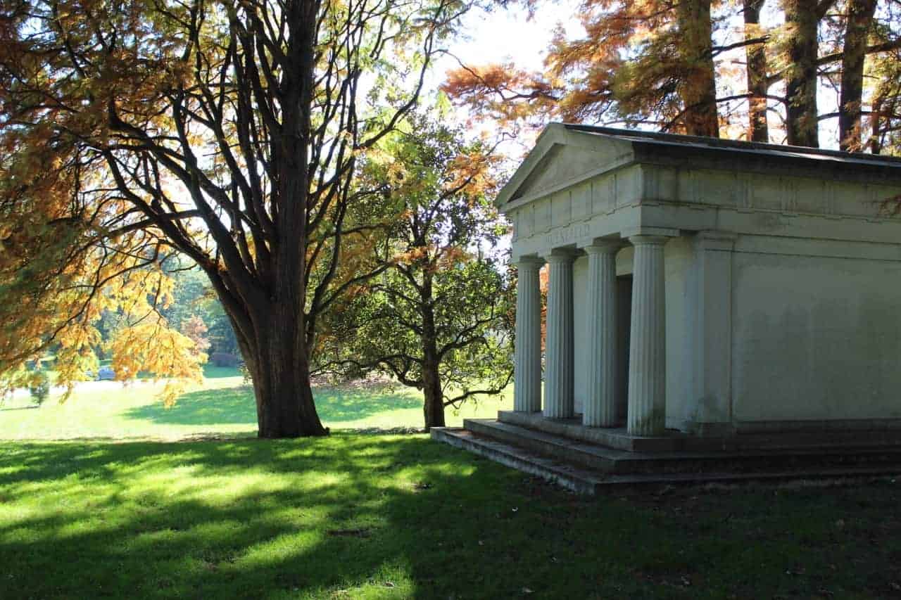 trees at Spring Grove Cemetery