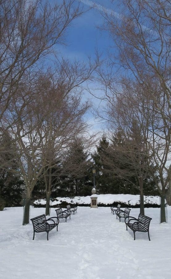 Winter at the park