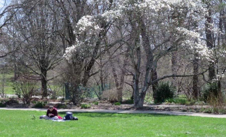 Relaxation at Ault Park