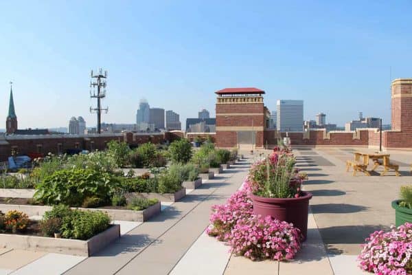 Panoramic Views of Cincinnati from the Rothenberg Rooftop