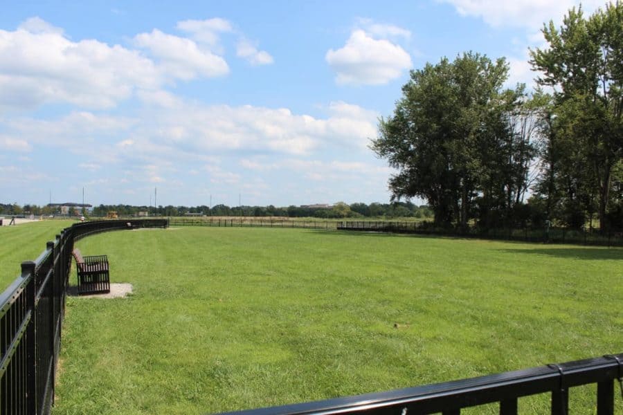 Dog park at Summit Park in Blue Ash