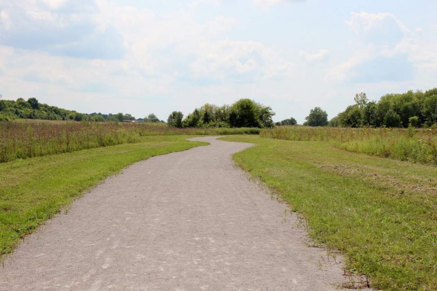 Walking trails at Summit Park in Blue Ash