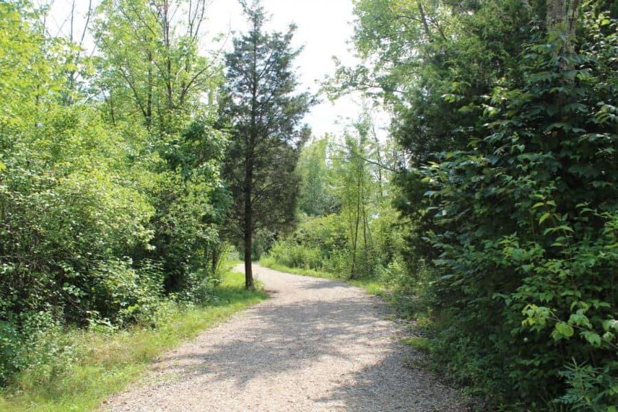 Wooded trail at Summit Park in Blue Ash