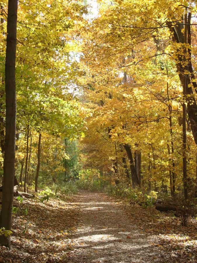 Fall at The Cincinnati Nature Center