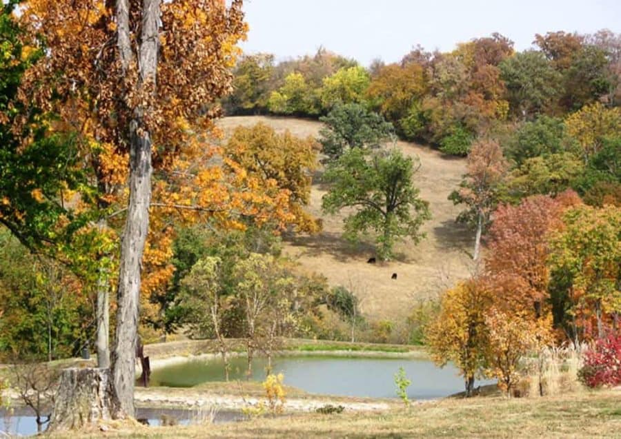 fall at Pyramid Hill Sculpture Park