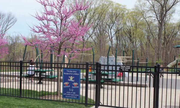 Fenced play area at Bicentennial Park