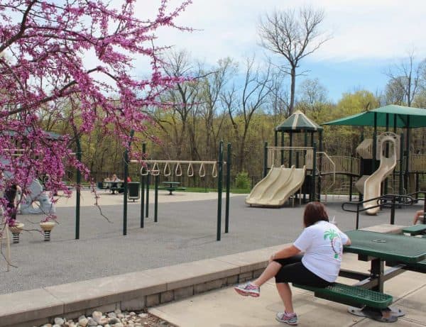 Picnic Tables at Bicentennial Park in Green Township