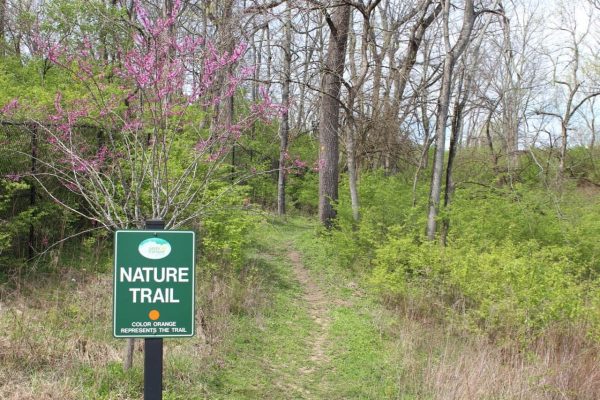 Nature Trail at Bicentennial Park