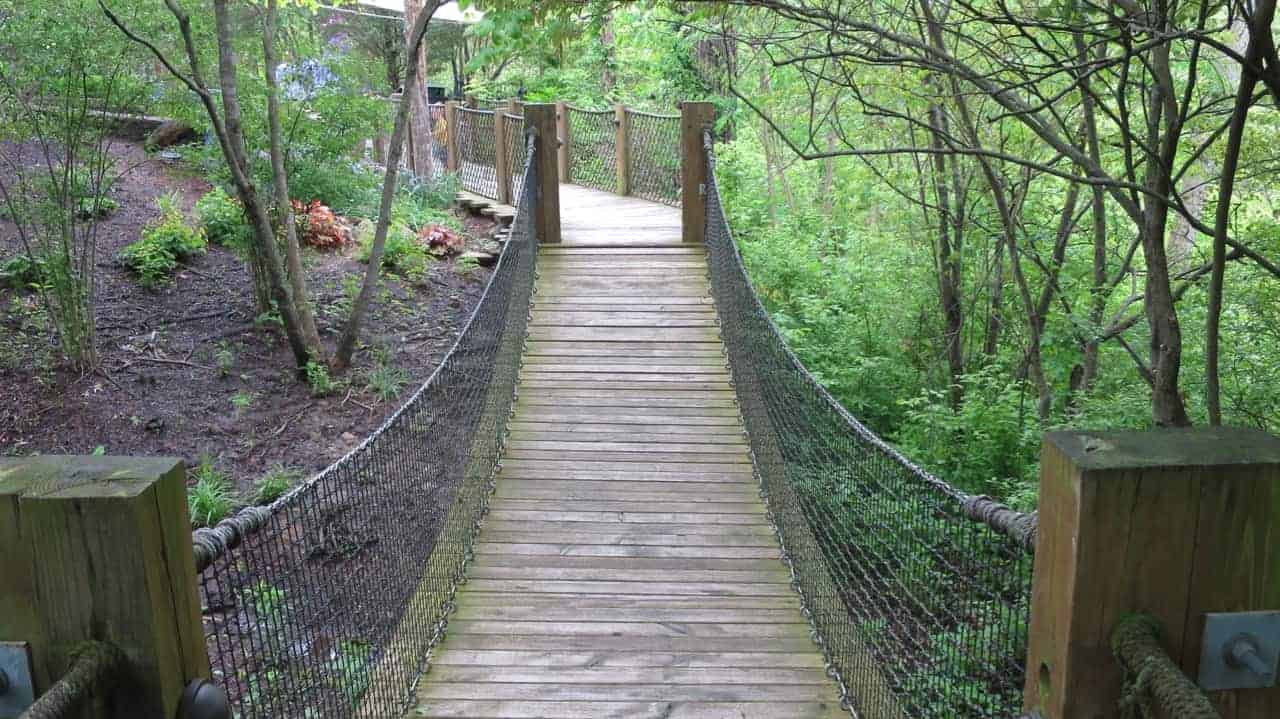 Swinging bridge at Highfield Discovery Garden