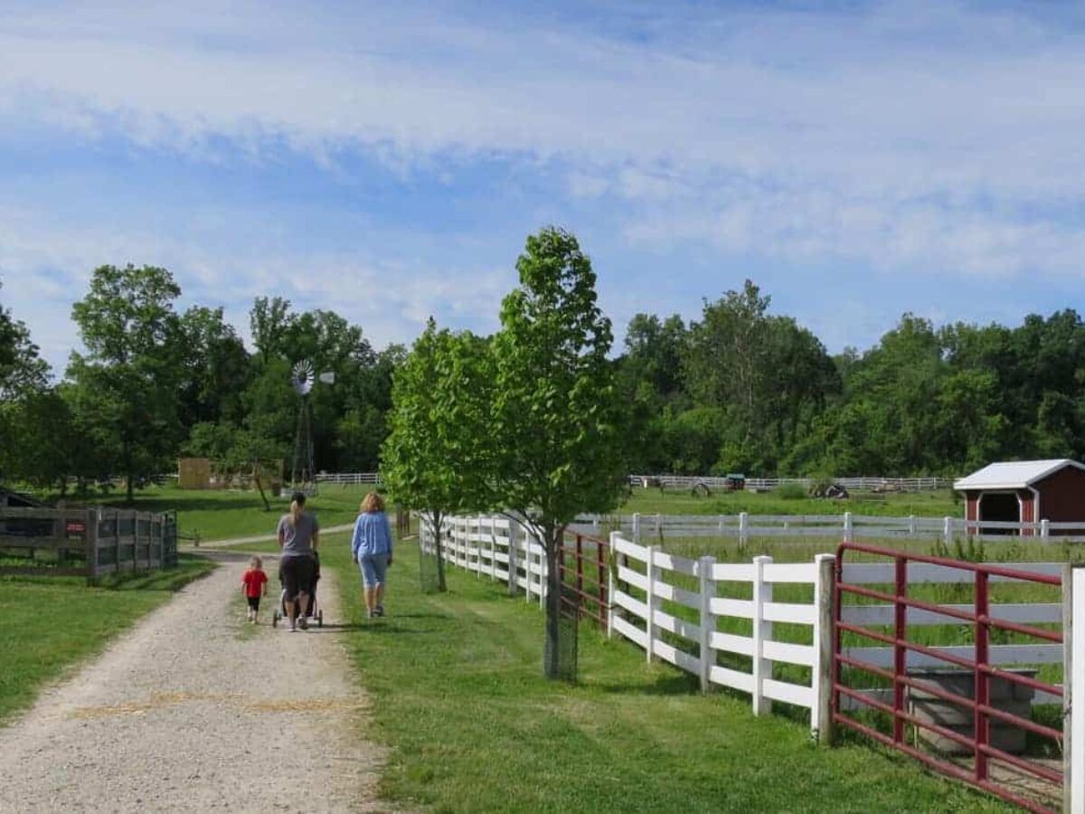50+ Things to do with Kids in Cincinnati – Your Family Fun Guide for Summer 2025