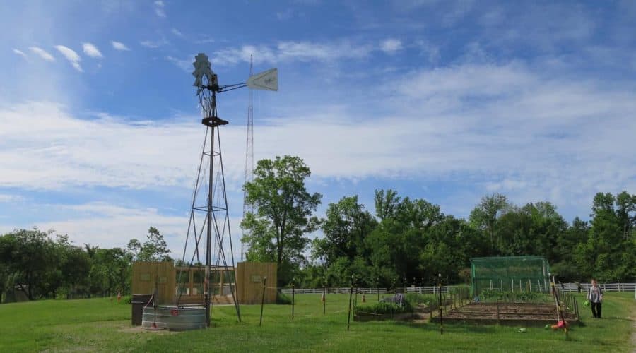 Water Pump at Parky's Farm