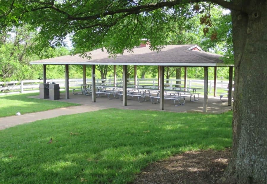 picnic tables at Parky's Farm