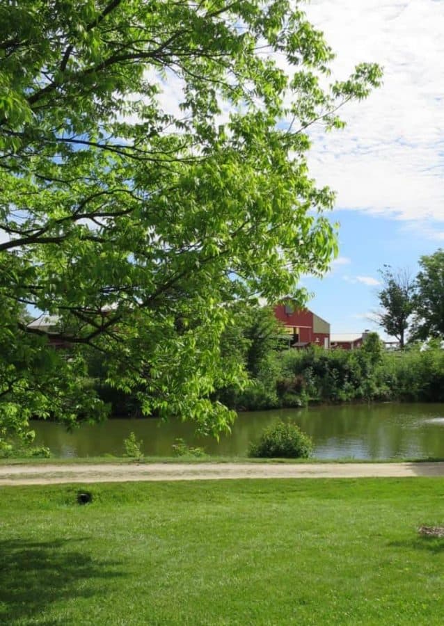 Ponds at Parky's Farm