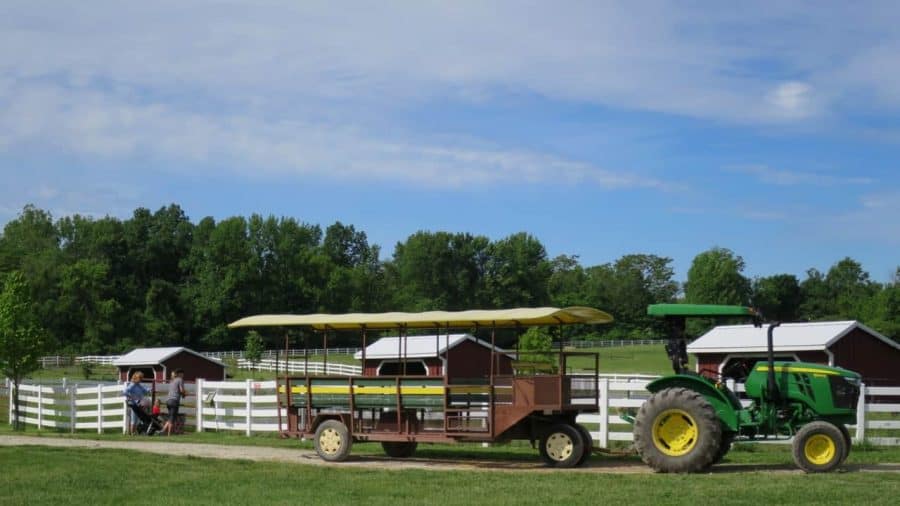 Tractor Rides at Parky's Farm