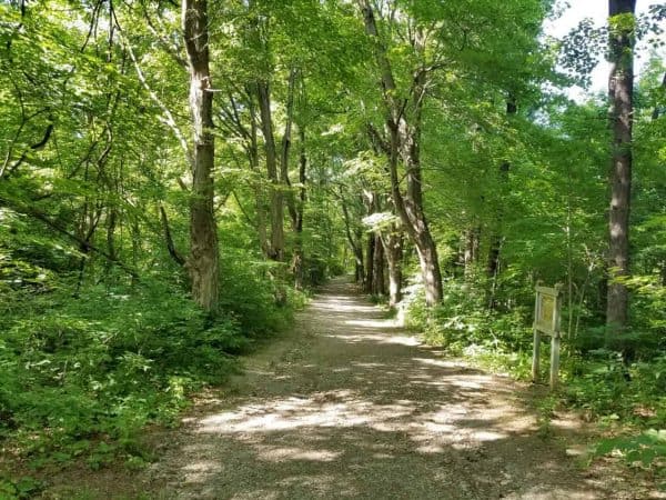 Mitchell Memorial Forest Bike Trails